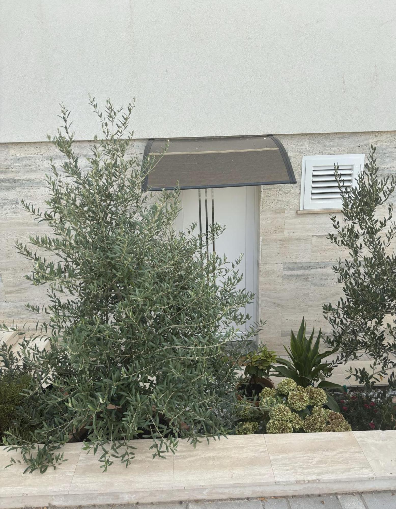 Vila Regina Apartment Rex With Swimming Pool Jezera Exterior photo