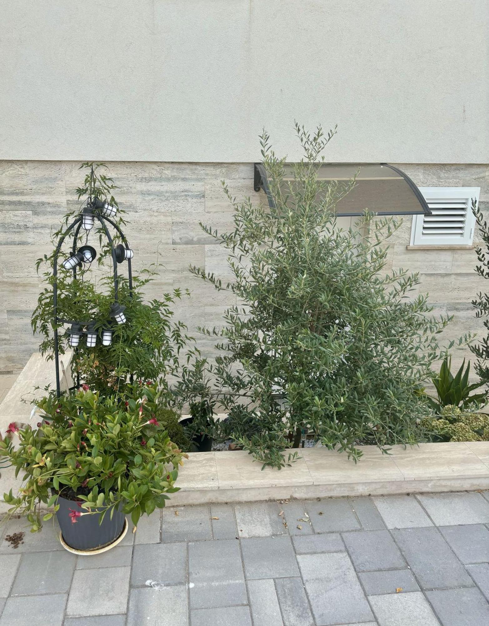 Vila Regina Apartment Rex With Swimming Pool Jezera Exterior photo