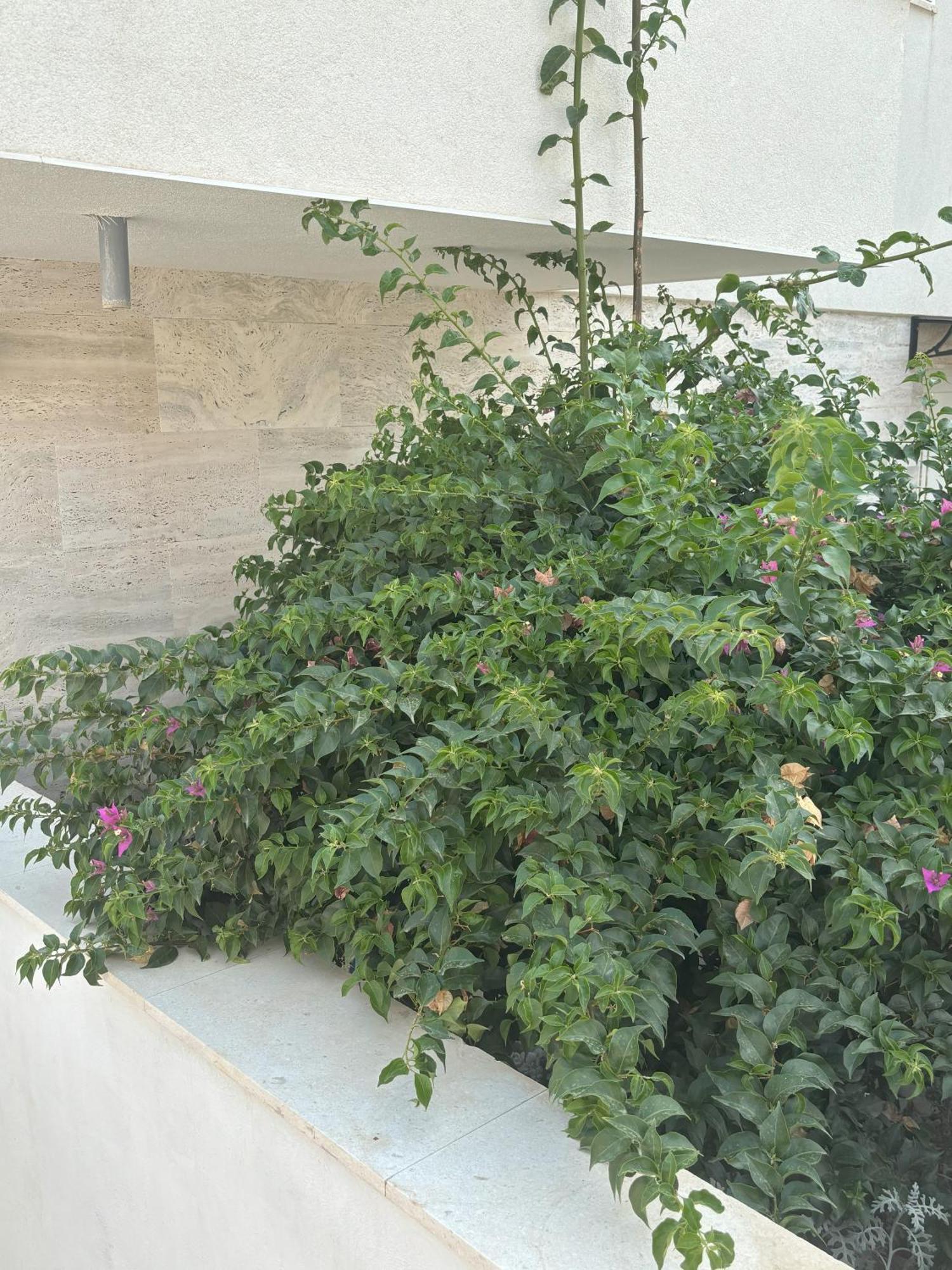 Vila Regina Apartment Rex With Swimming Pool Jezera Exterior photo