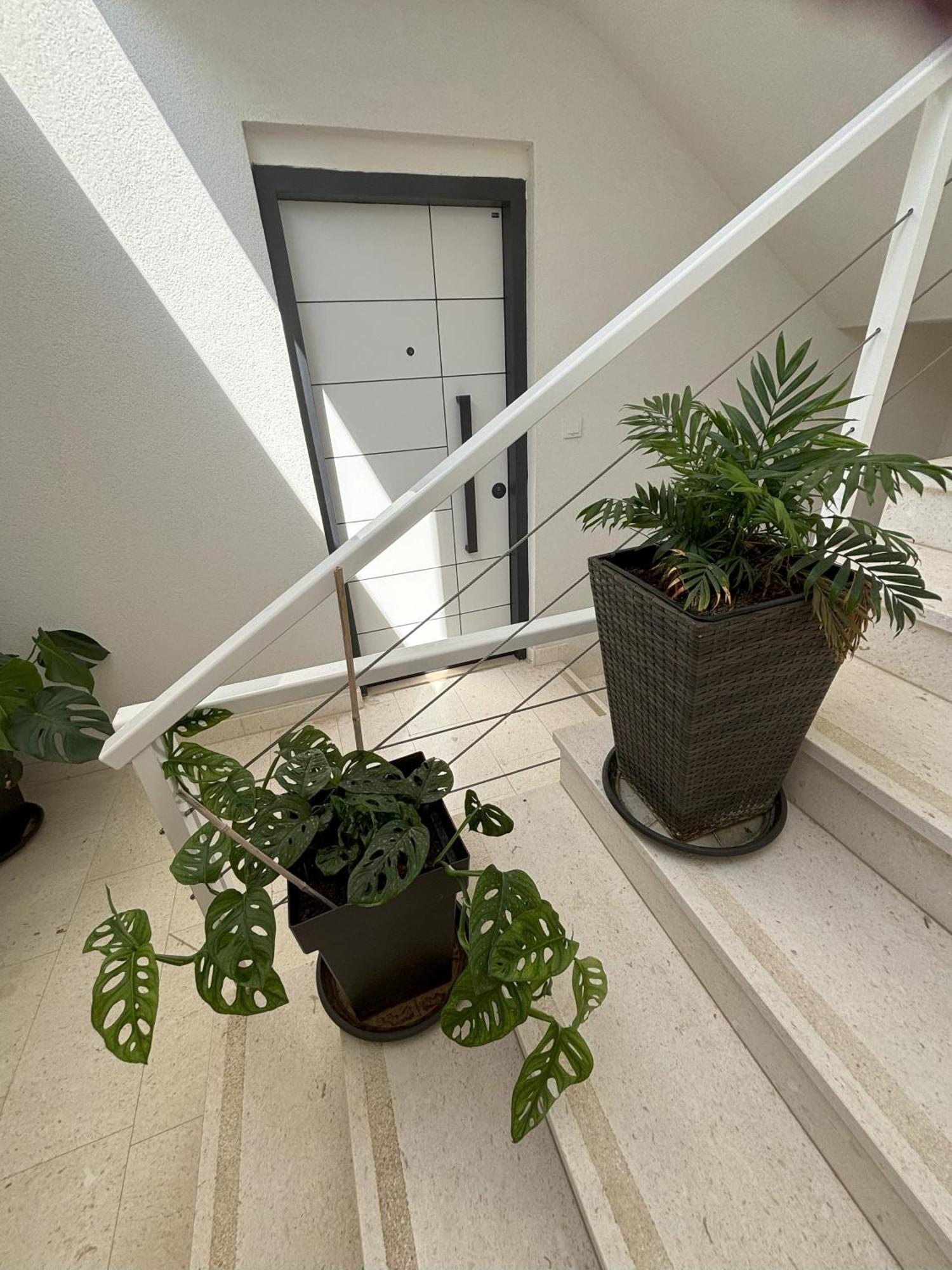 Vila Regina Apartment Rex With Swimming Pool Jezera Exterior photo